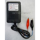 Charger 12 Volt 