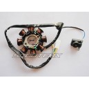 Ignition Coil 6 Stator  [1213]